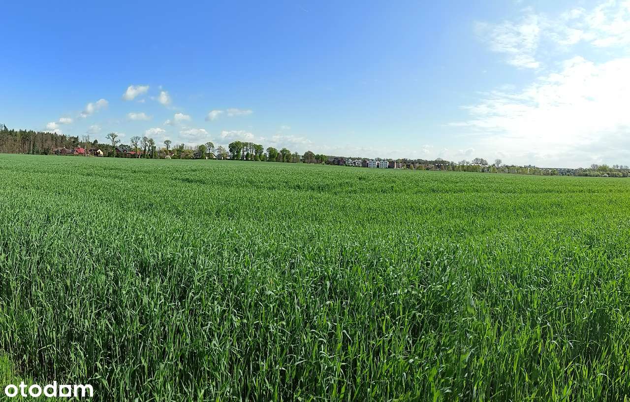 | Koninko | PROMOCJA | OKAZJA INWESTYCYJNA | działka budowlana | - Pełny obrazek: 4/6