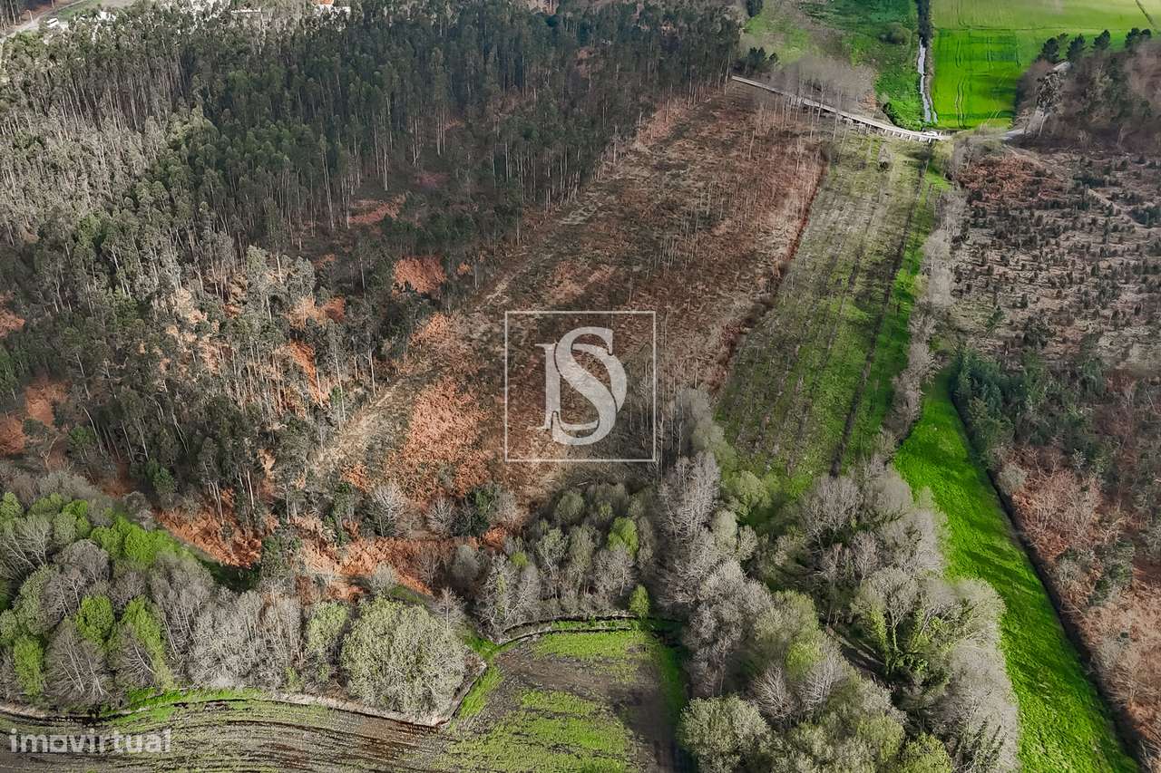 Terreno Rústico  Venda em Associação de freguesias do Vale do Neiva,Po-5