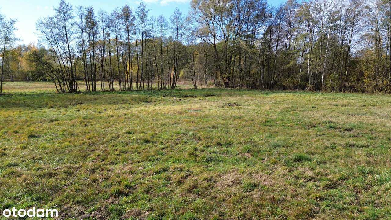 Działkę budowlaną o powierzchni 1100 m - Pełny obrazek: 2/8