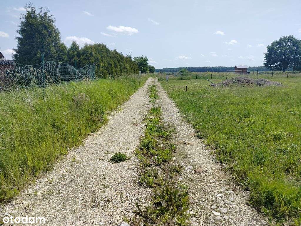 Działka w pięknym miejscu - w Rudno k. Gliwic - Pełny obrazek: 3/8