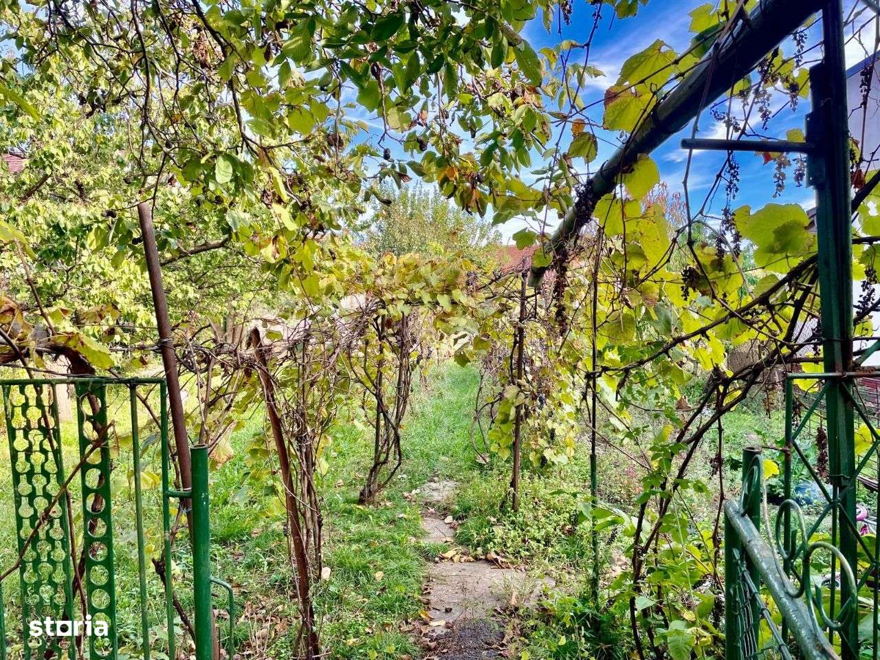 Casa de vanzare in Gradiste - Imagine principală: 5/11