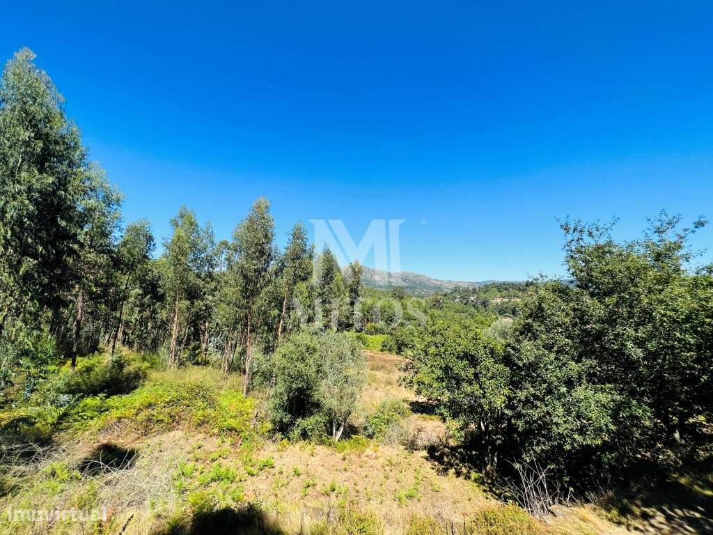 Terreno a venda em Vitorino de piães - Grande imagem: 5/18