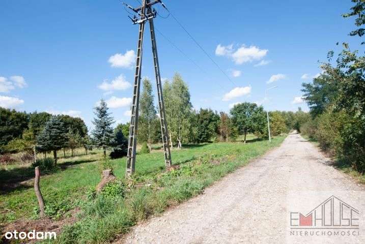 Kotowice-Działka-Las- blisko Wrocław/ Oborniki Śl.-7