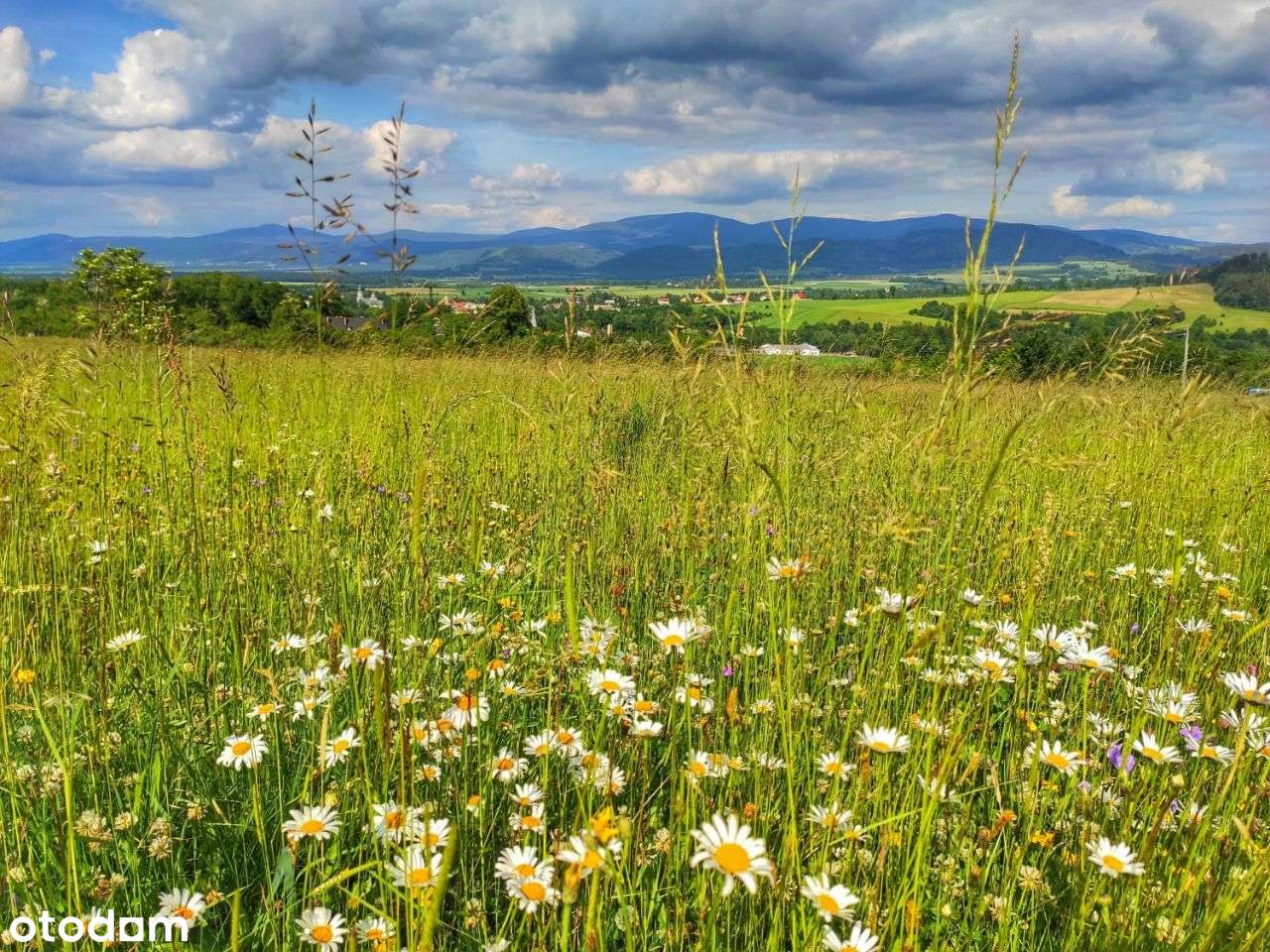 Działka marzeń w górach, z widokiem, budowlana - Pełny obrazek: 4/15