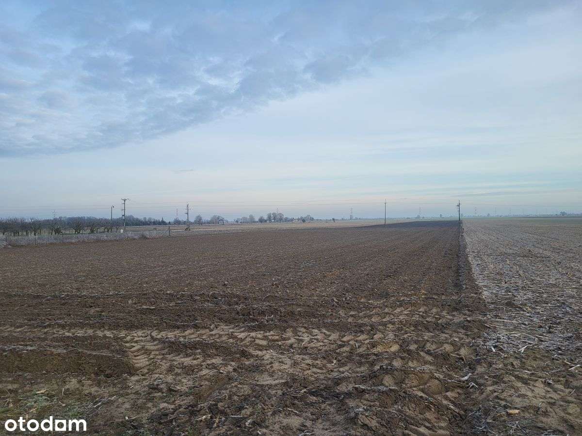 Działka w Dziećmierowie - Pełny obrazek: 5/7