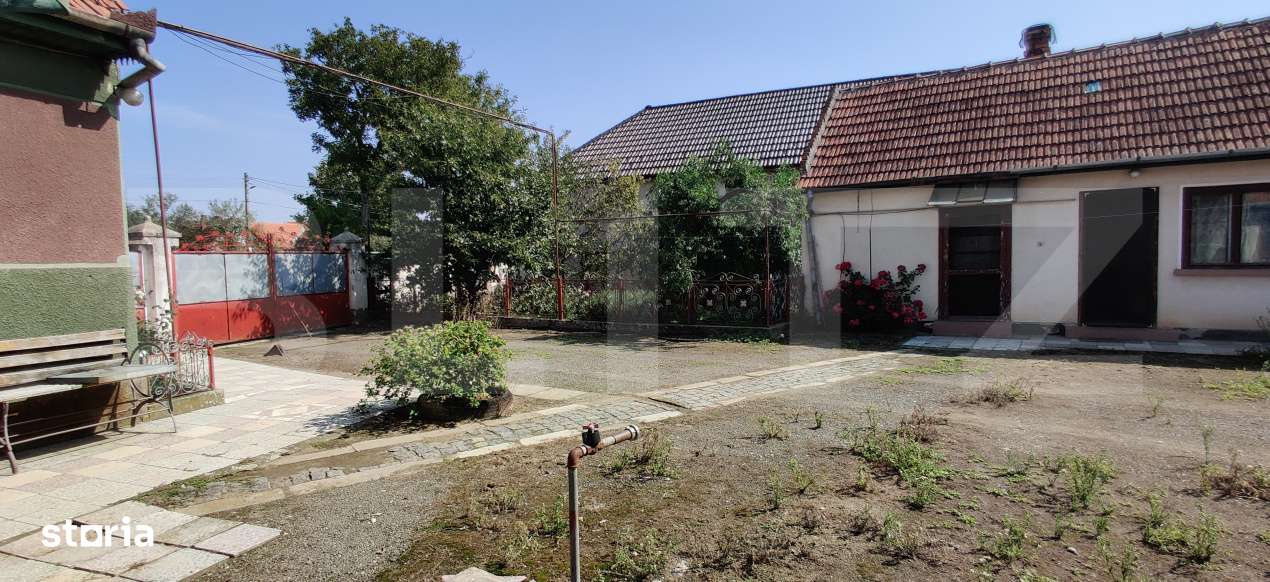 Casa 300 mp, teren 4.900 mp – Belint - Imagine principală: 4/18