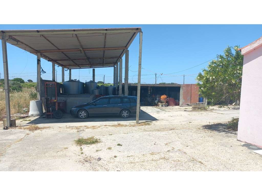 Herdade vinhateira próxima de Setúbal-2