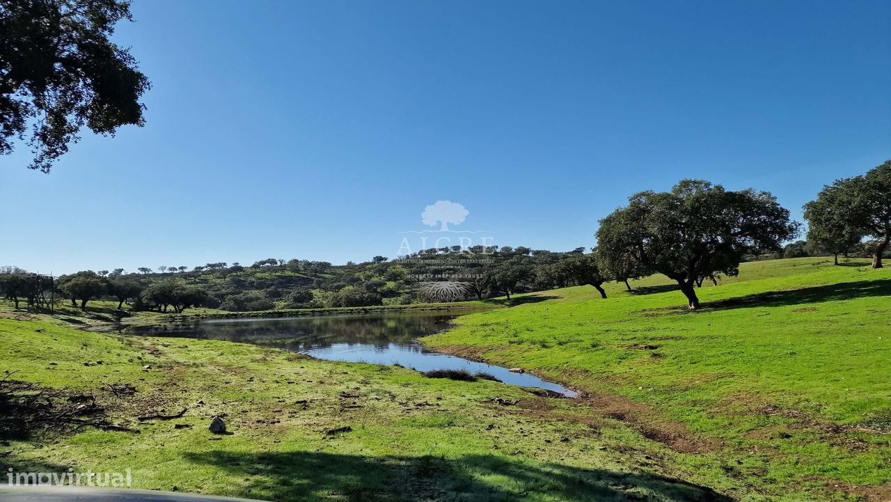 HERDADE GANADEIRA E SUINOCULTURA