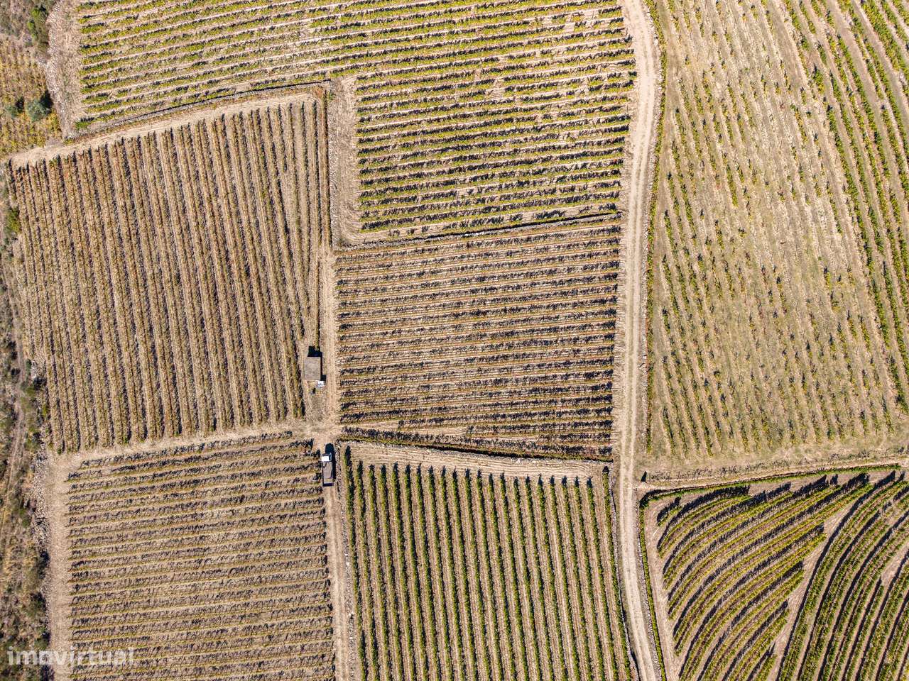 VINHA À VENDA EM MURÇA – REGIÃO DEMARCADA DO DOURO-17