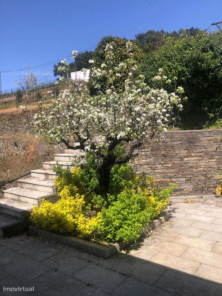 Quinta espetacular na região do vinho verde em plena produção-29