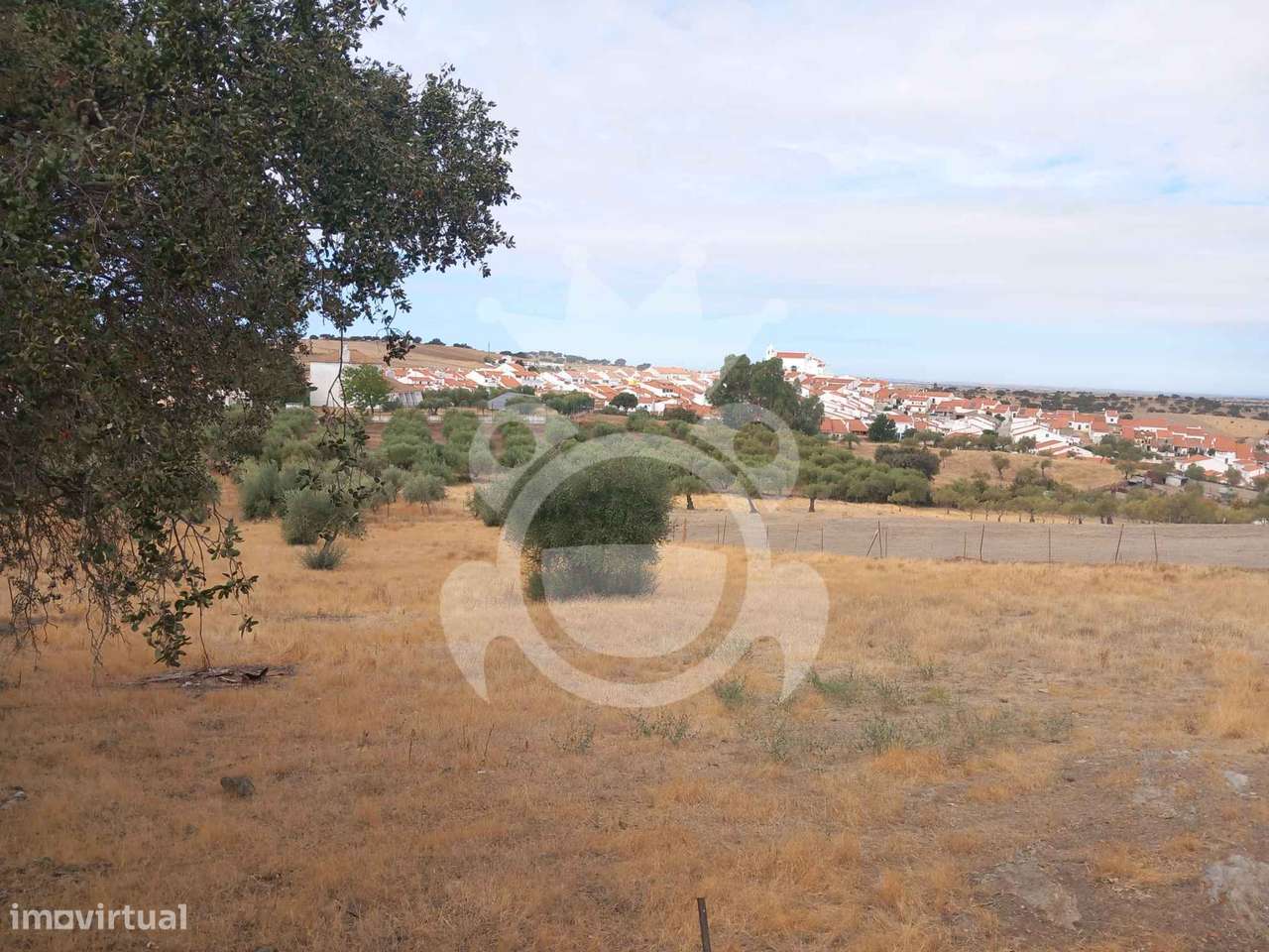 Terreno com dependência agrícola - Santo Aleixo-3
