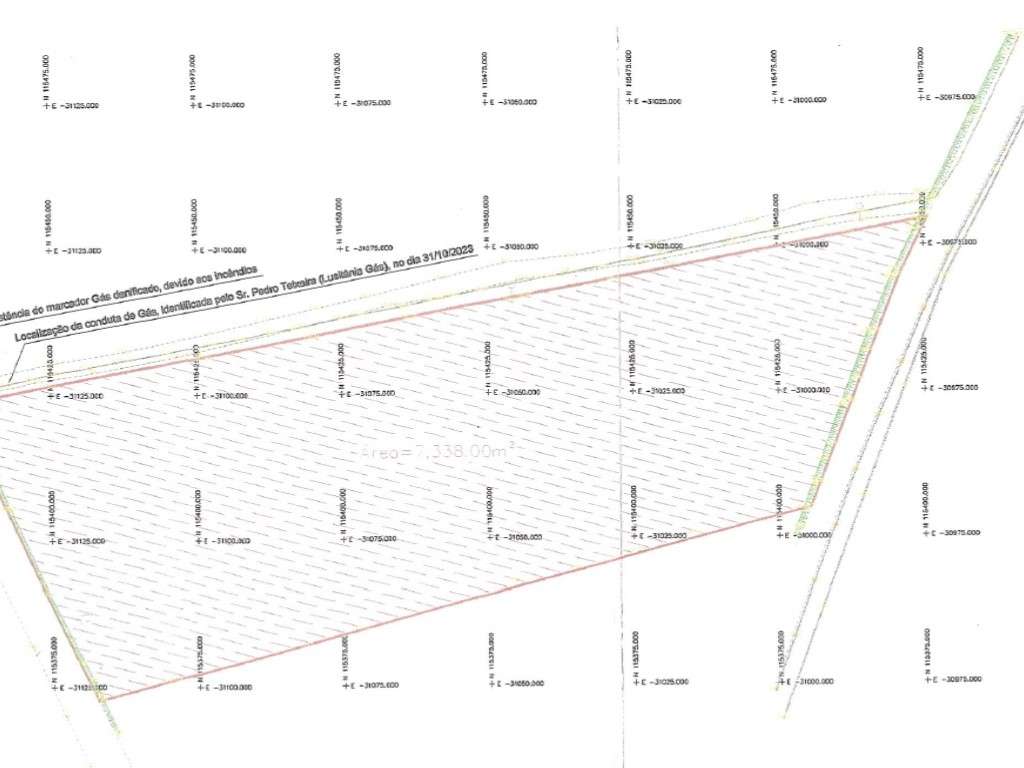 Terreno industrial em Albergaria a Velha - Grande imagem: 5/5
