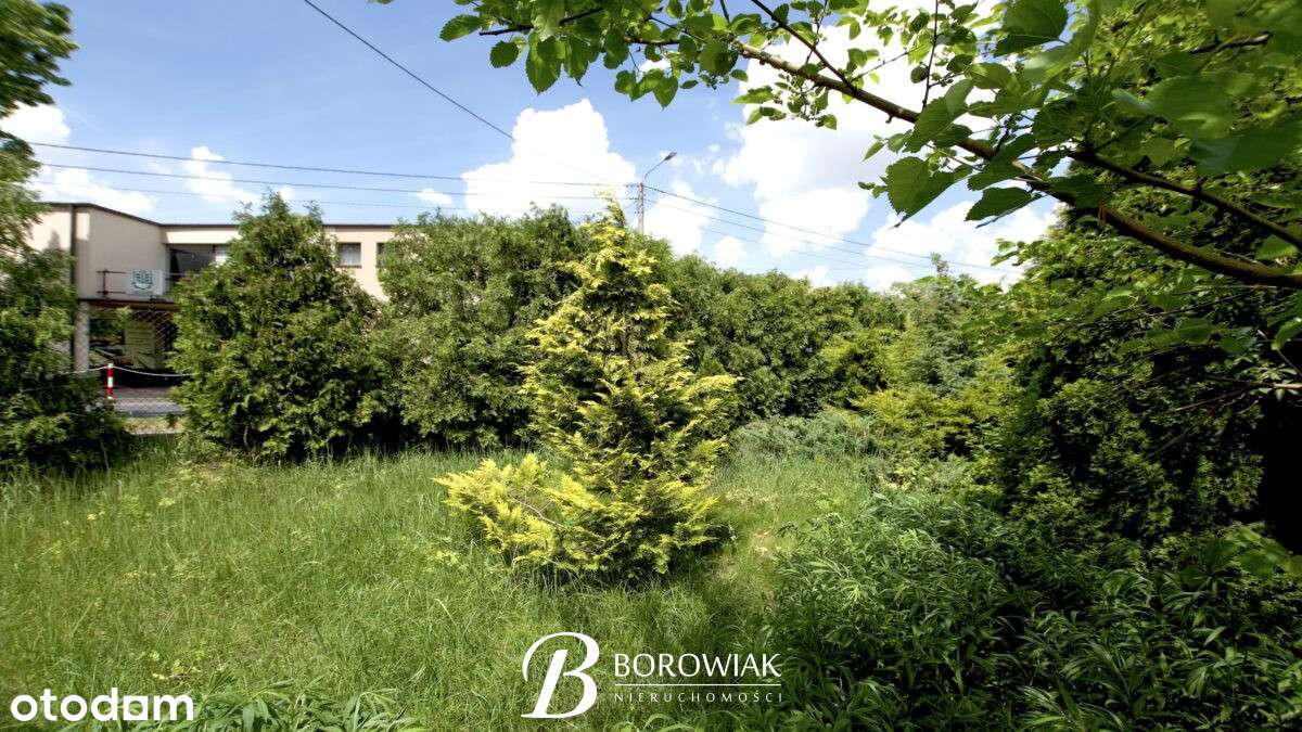 Perełka w Gołuchowie - 1298 m² działki - Pełny obrazek: 4/7