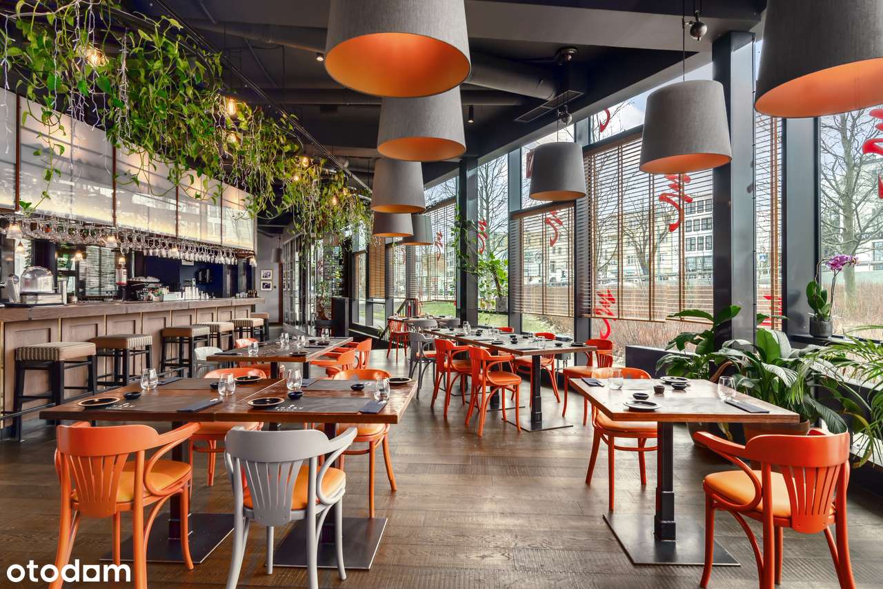 SPRZEDAM lokal 346 metrów - Nowe Orłowo - Pełny obrazek: 4/15