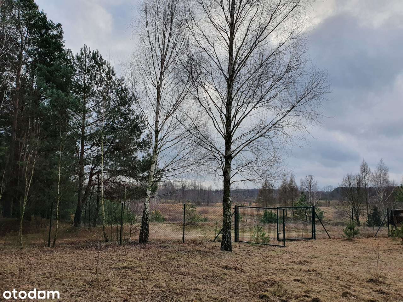 Działka z pozw. na budowę, projekt Inovia, j. Białe-10