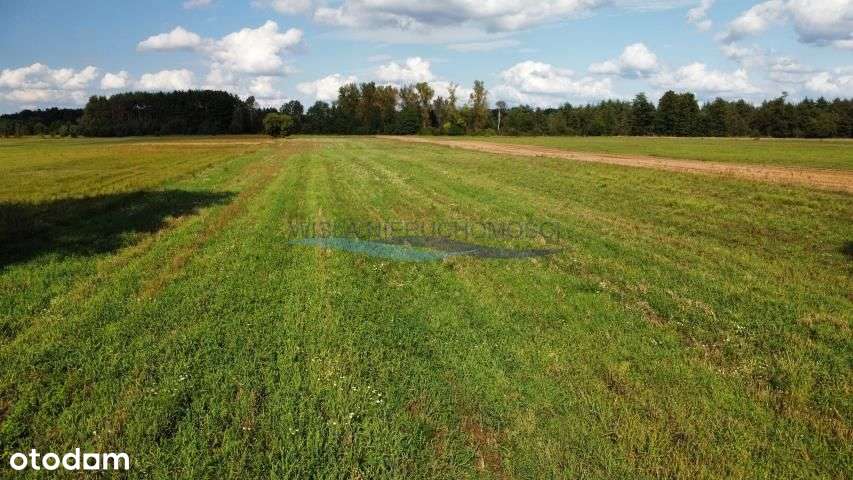 Działka, 11 596 m², Sekłak - Pełny obrazek: 4/4