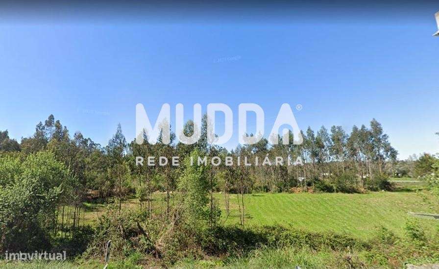 Terreno Rústico com 5.130m2 - Grande imagem: 3/3