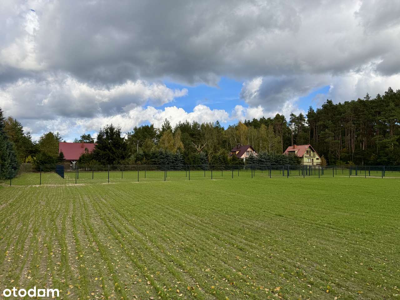 Działki przy jeziorze Lucieńskim i lesie państwowym-17