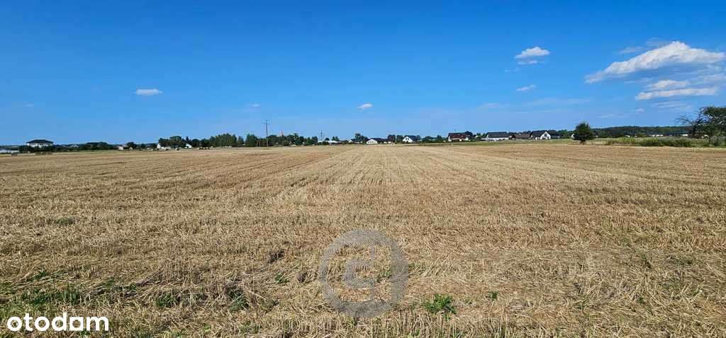 Atrakcyjne Działki 5 Km Od Centrum Gorzowa Wlkp !-7