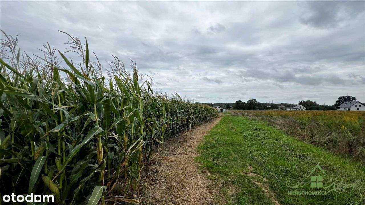 Działki Budowlane Mościska 3656M2-6