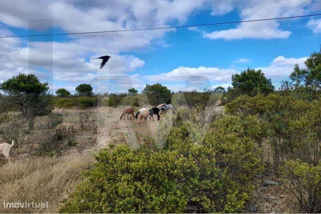 Quinta para Reconstruir na Fonte Zambujo, Pereiro, Alcoutim - Grande imagem: 5/60