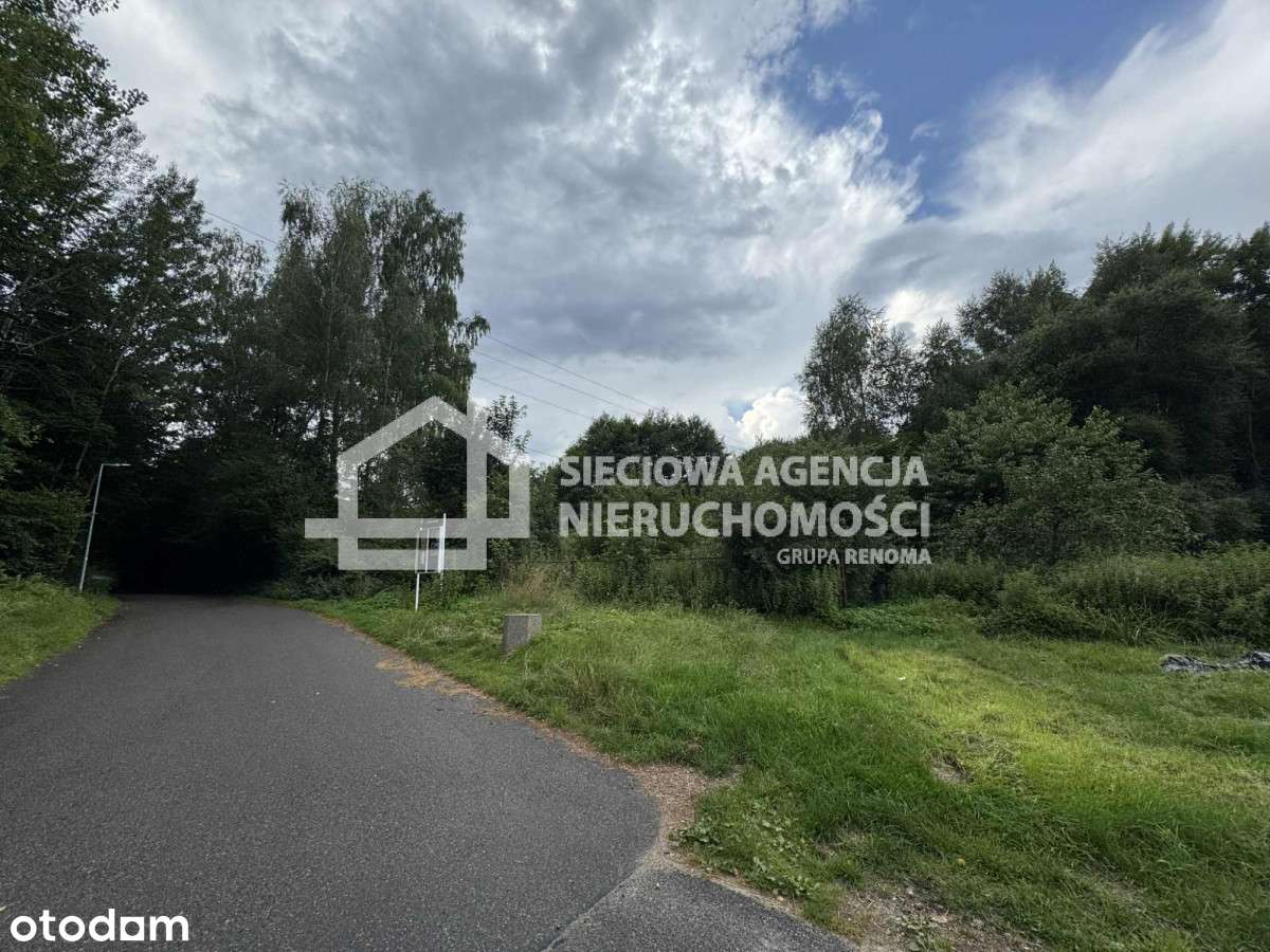 Piękna działka 3,3 ha w Łapinie gm. Kolbudy - Pełny obrazek: 5/18