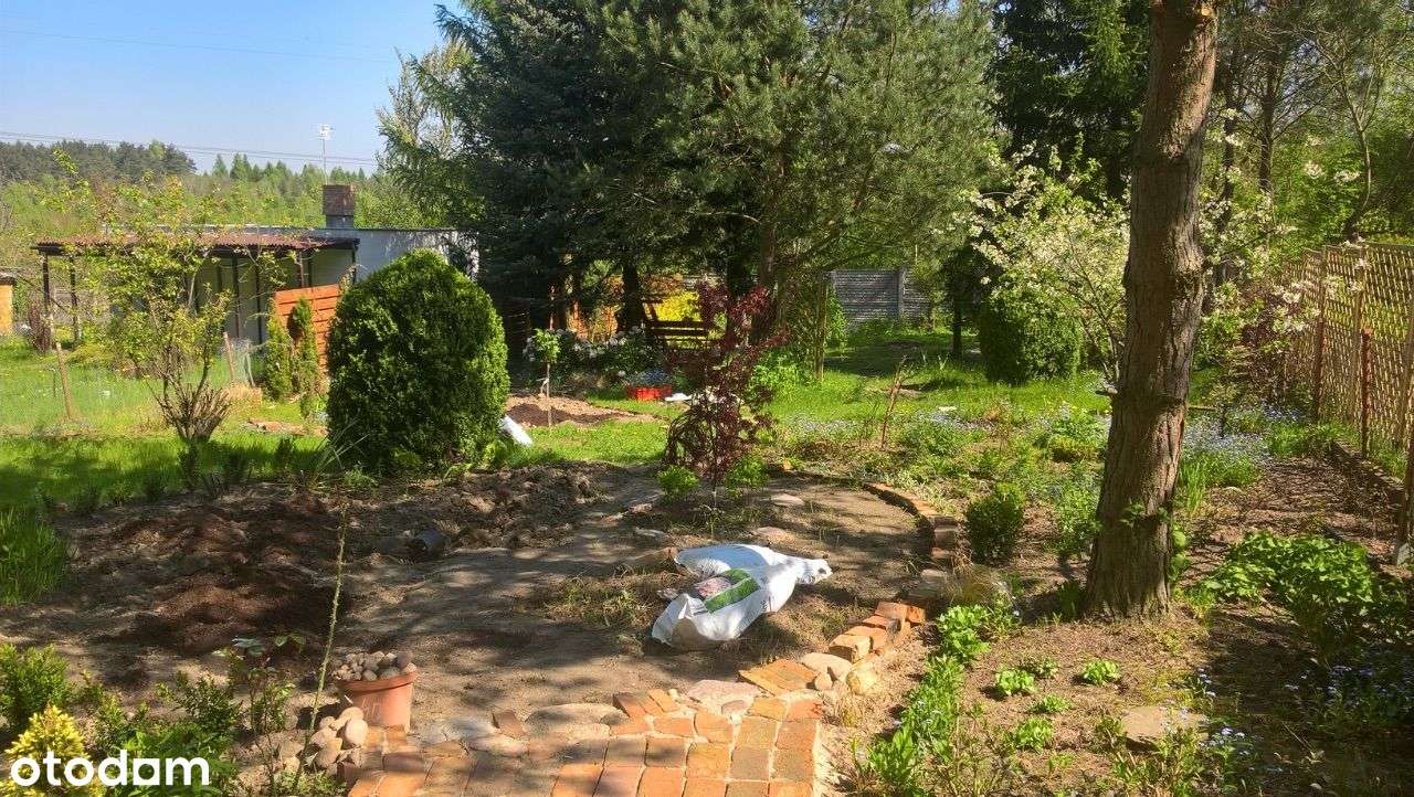 Działka ROD Suchy las na sprzedaż