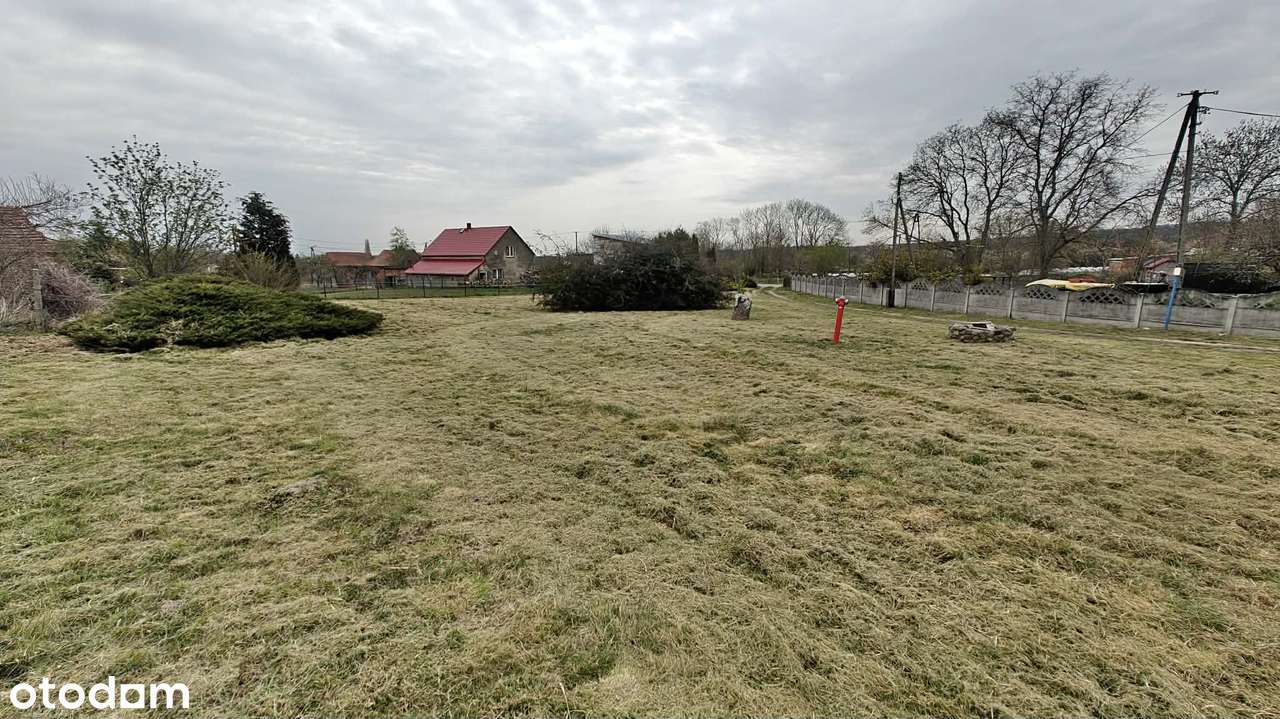 Dom wolnostojący z działką 3711 m² na sprzedaż-1