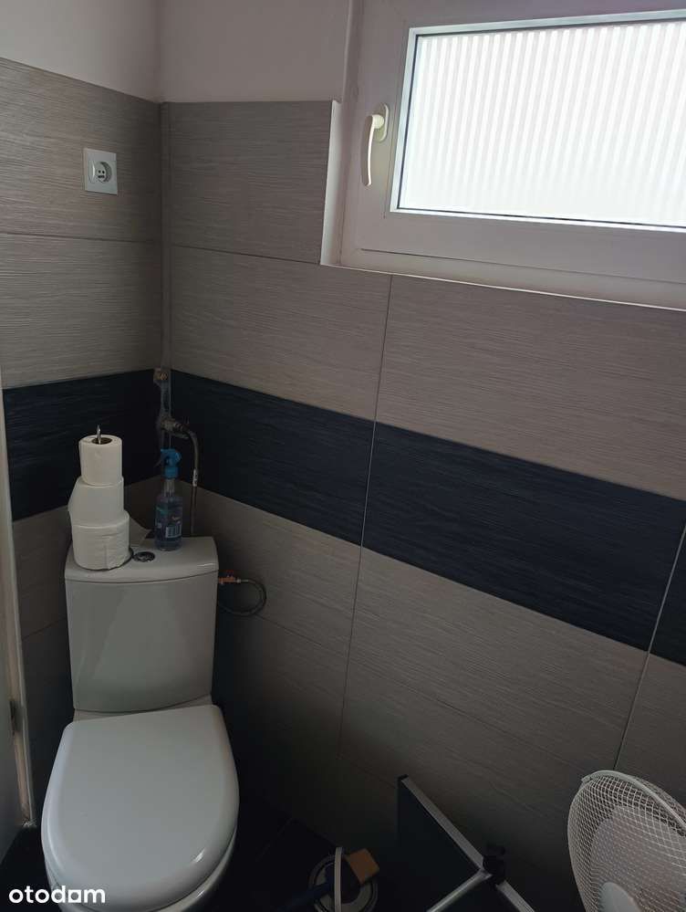 Działka rekreacyjna ROD Benedy II w Bydgoszczy!! - Pełny obrazek: 5/9