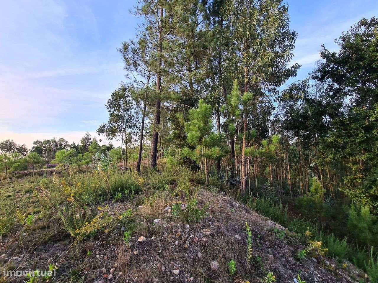 Terreno com Viabilidade de Construção de Moradias-12