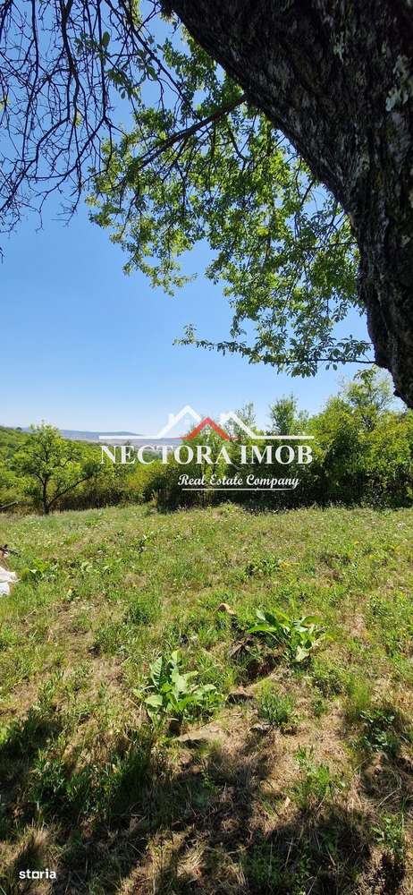 NECTORA IMOB-Teren Zona Podgoria,3400 mp (Intravilan + Extravilan) - Imagine principală: 2/3
