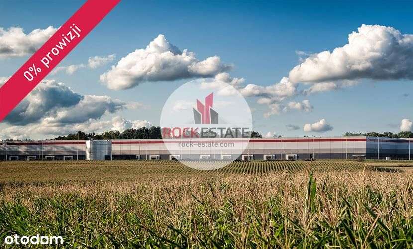 Magazyn pod Piotrkowem od zaraz - 0% prowizji - Pełny obrazek: 4/5