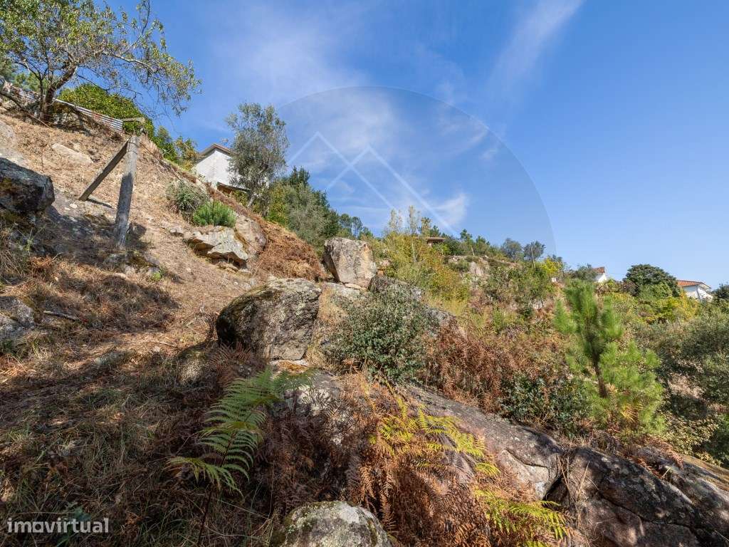 Propriedade com Vista Panorâmica para o Douro Moradia e Terreno com...-49