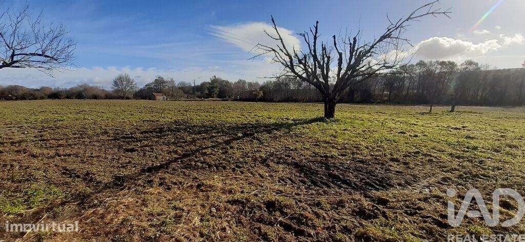 Terreno Agrícola em Três Povos - Grande imagem: 5/22