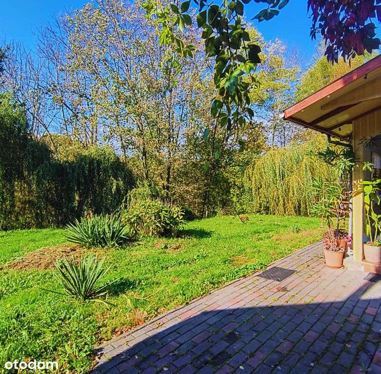 Dom murowany + drewniany + dwa budynki gospodarcze - Pełny obrazek: 4/14