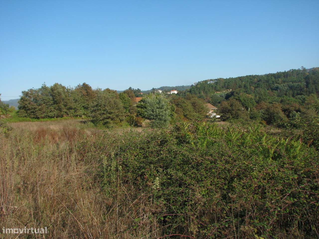 Quinta com casa em ruínas-11