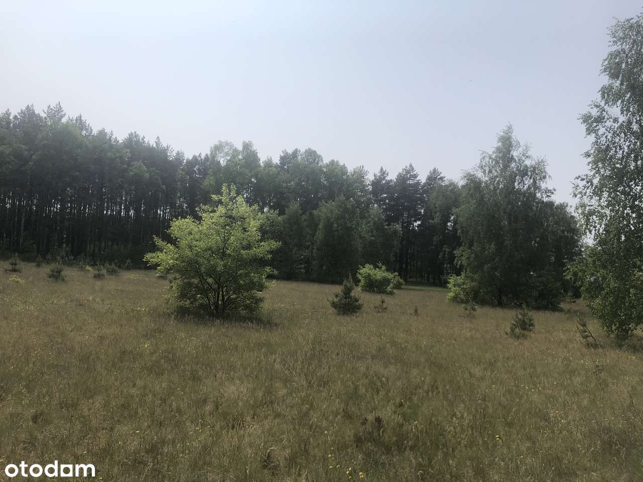 Inwestycyjna przy węźle w Stryszku-5