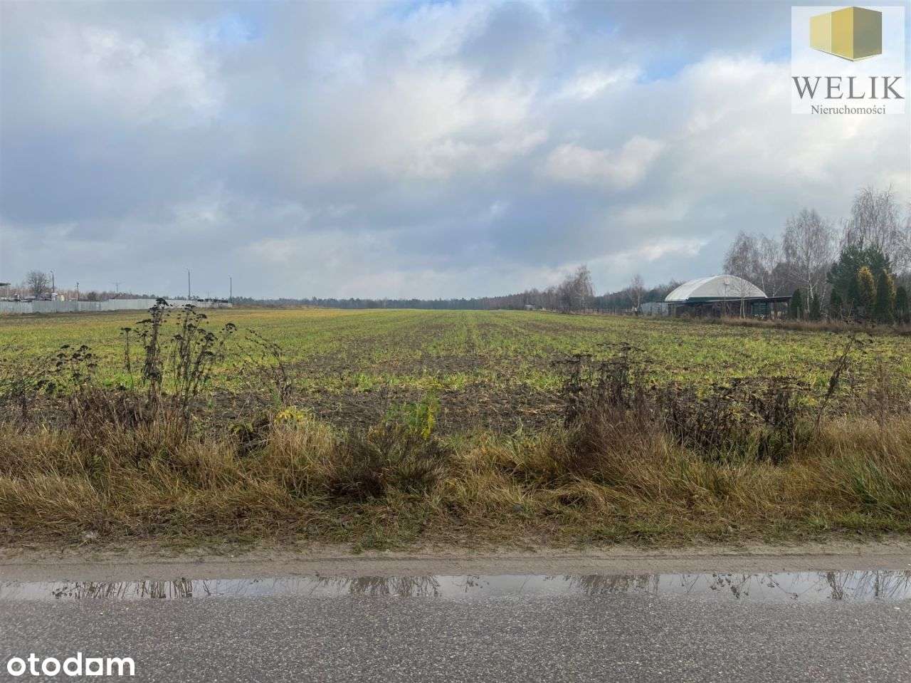 Nieruchomość z dużym potencjałem przy Powstańców-1