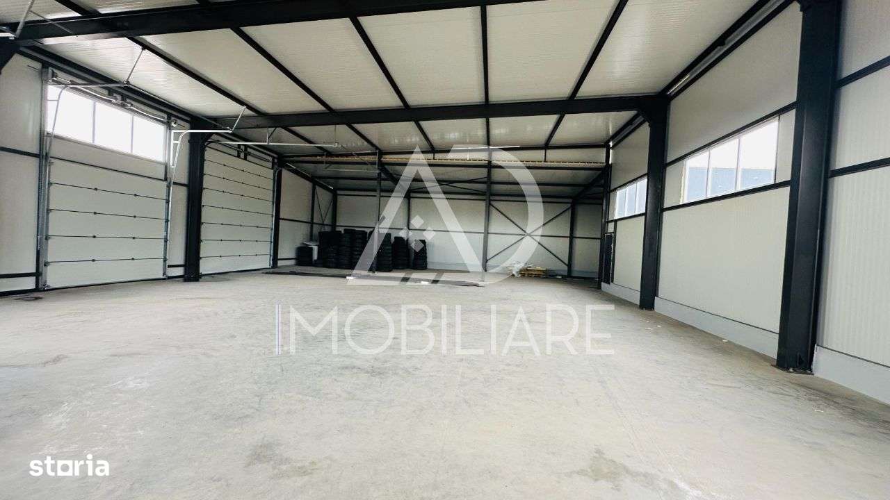 Hală nouă de închiriat / Calea București - Imagine principală: 5/9