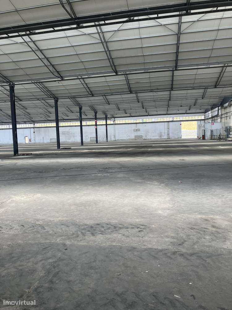 Armazém amplo - Grande imagem: 3/4