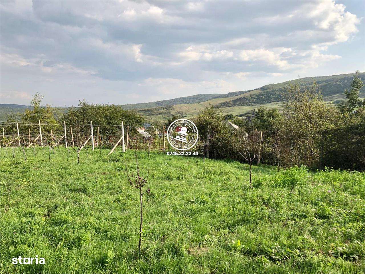 Teren intravilan in Mogosesti, Iasi - 6800mp - Imagine principală: 3/10