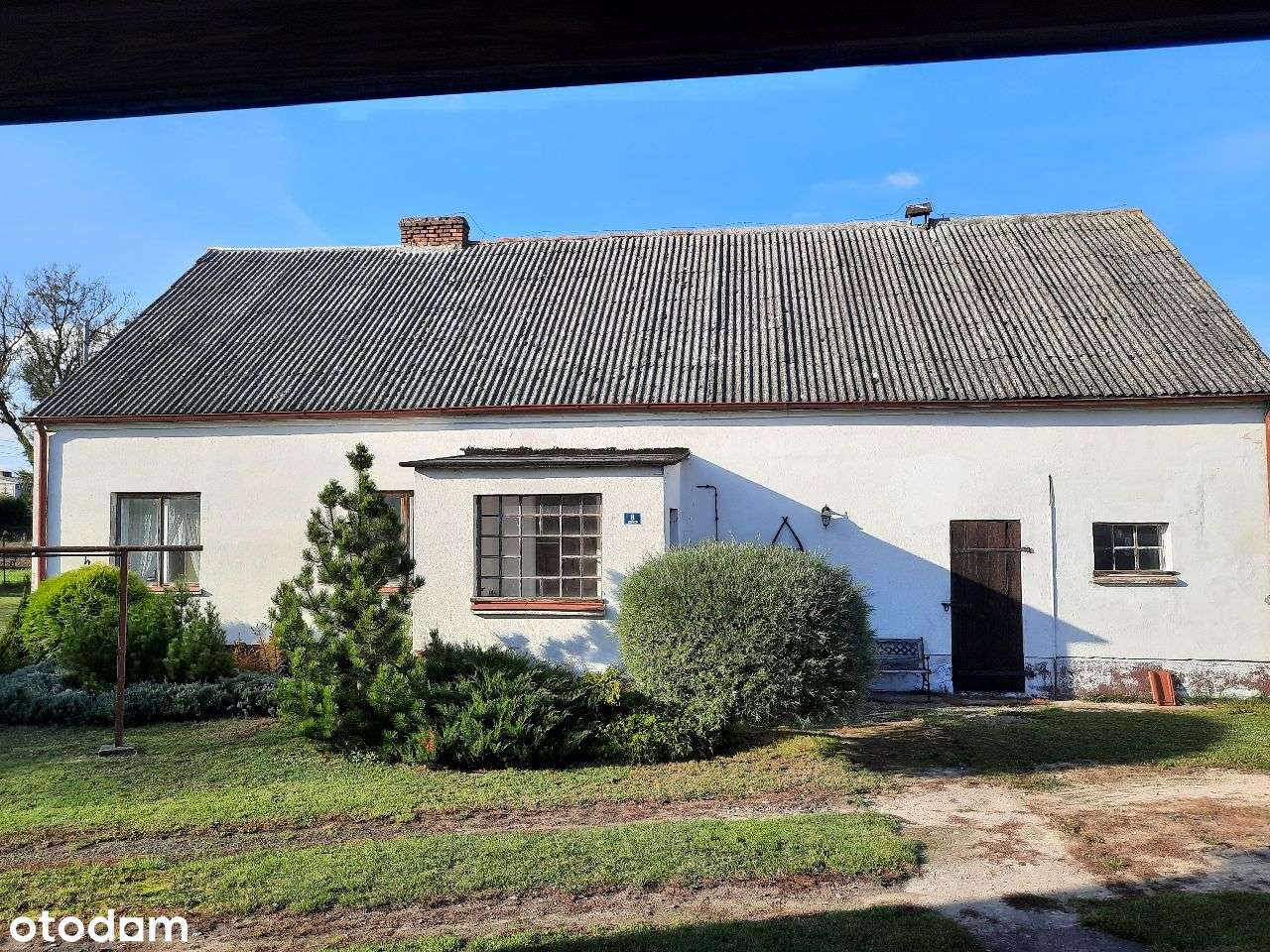 Dom do remontu lub całe siedlisko – Ogromny potencjał! - Pełny obrazek: 5/20