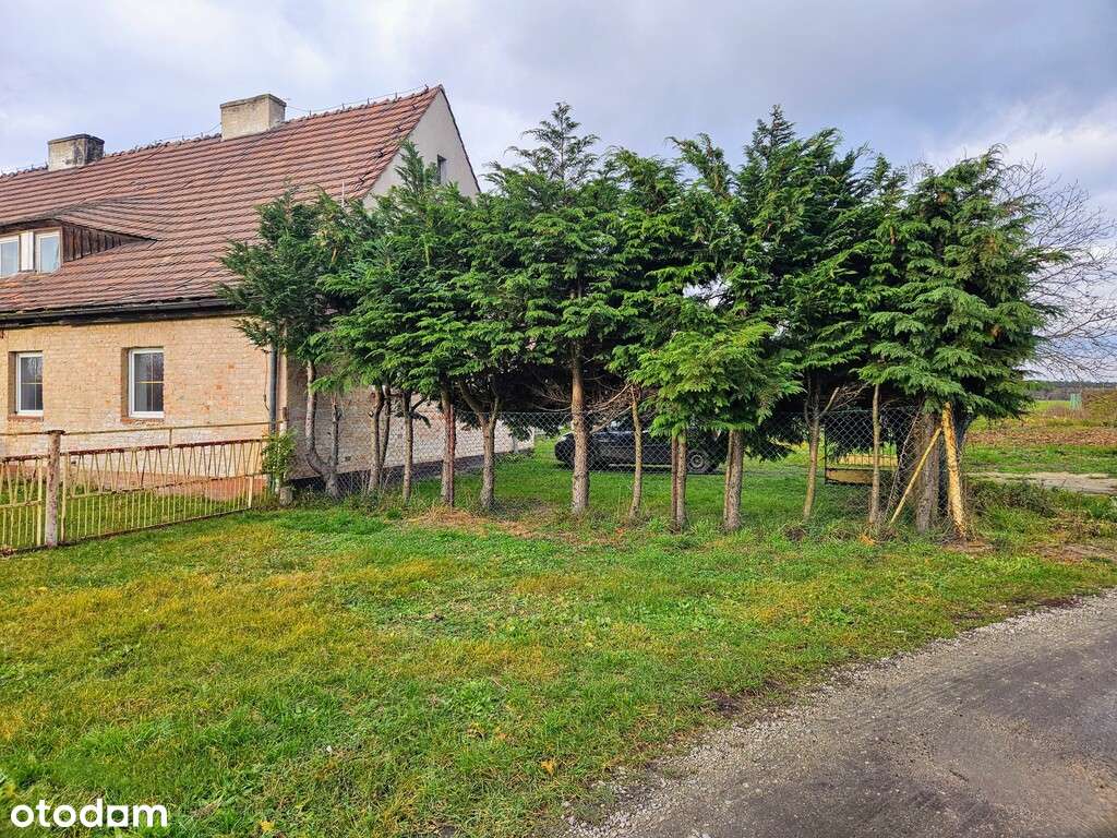 Sprzedaż parter bliźniaka Brzezina Sułowska Osada - Pełny obrazek: 1/20