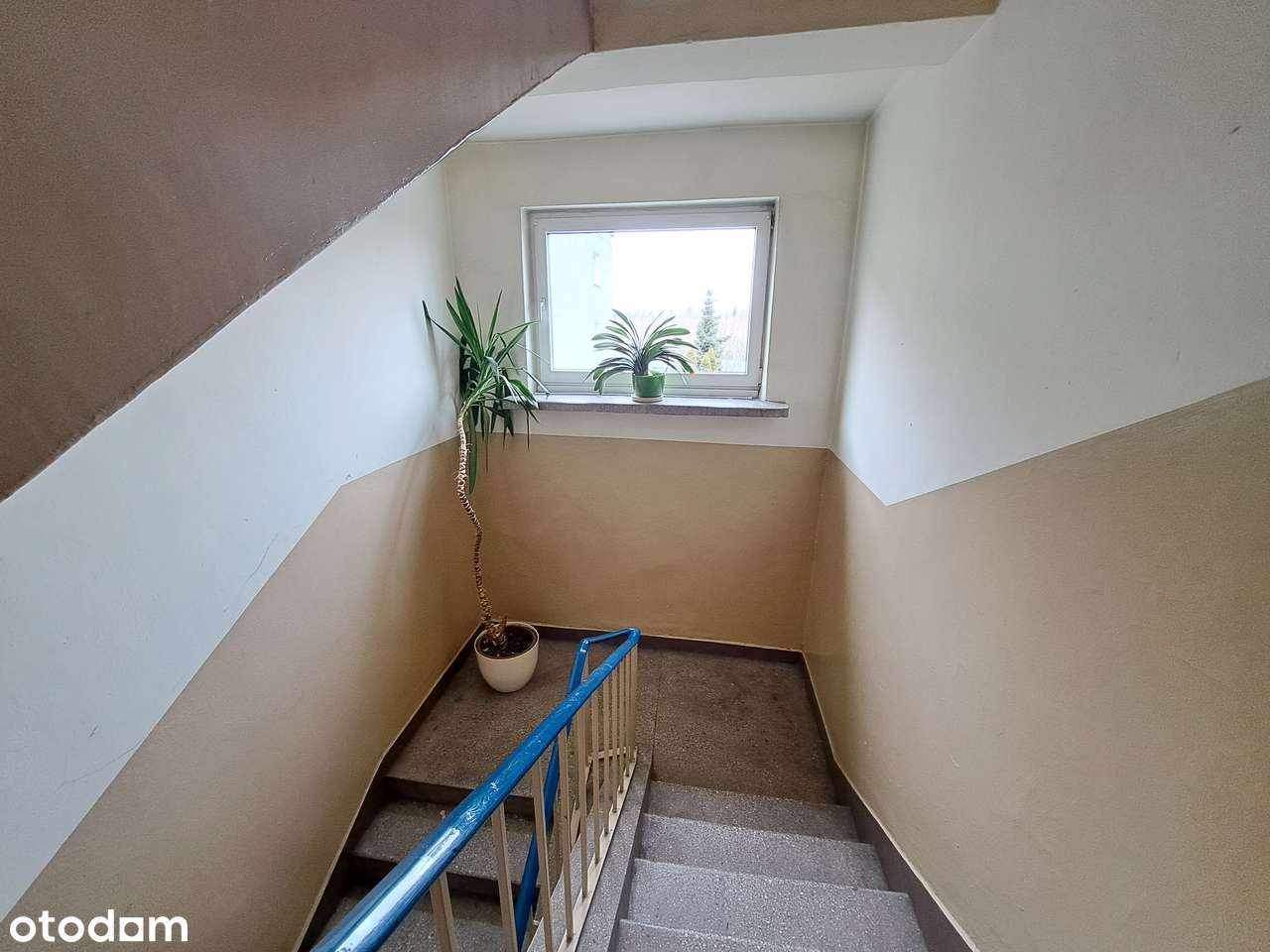 3/4 pokoje do aranżacji - 2. balkony i 2. piwnice - Pełny obrazek: 5/7