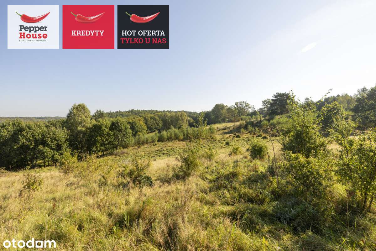 Przepiękna działka przy lesie i jeziorach - Pełny obrazek: 2/19