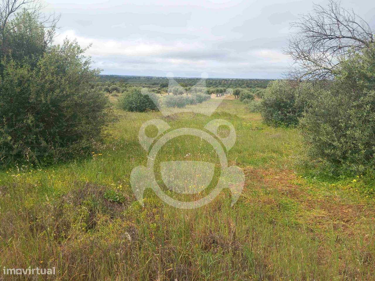 Terreno Rústico com ruína - 3Ha-5