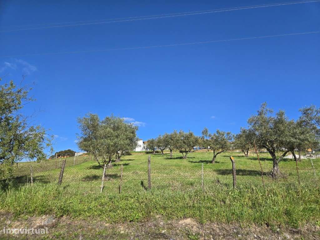 Terreno urbano com 1407 m2 em Santiago Maior - Grande imagem: 3/13