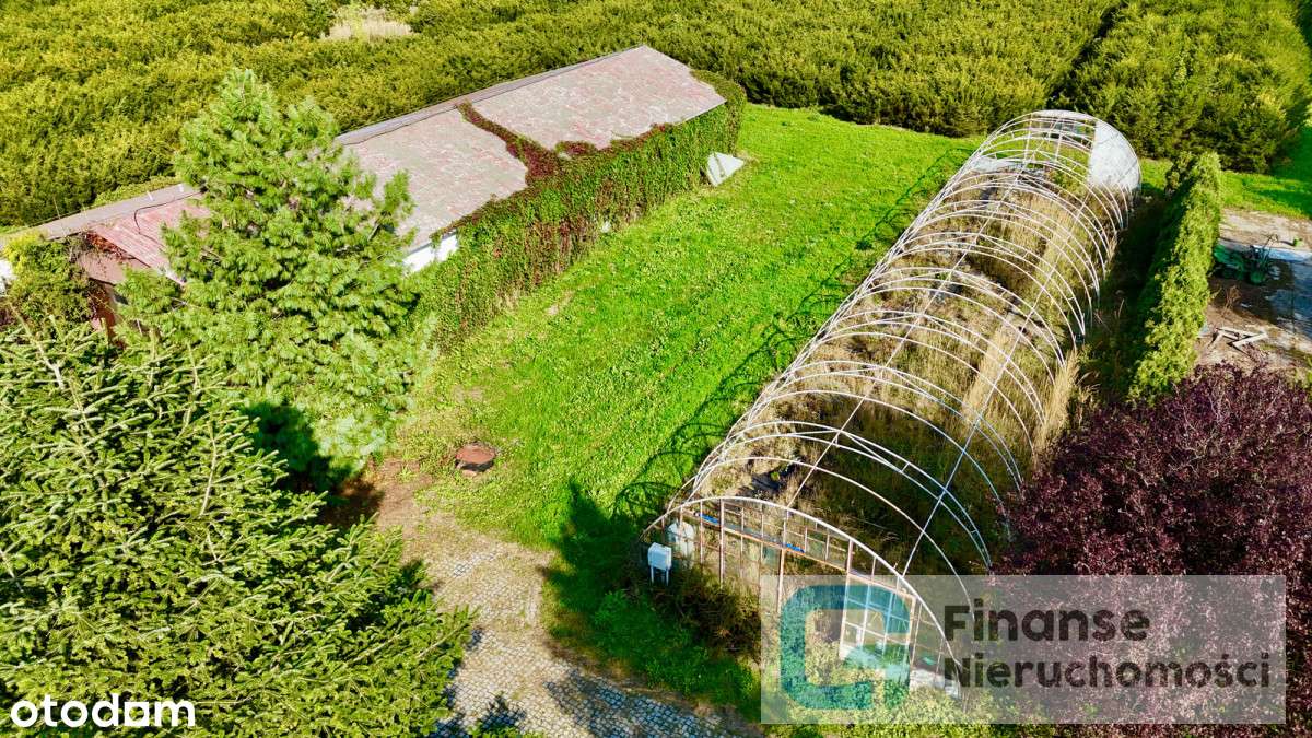 Siedlisko z budynkami – Grabów - 21 200 m²-5