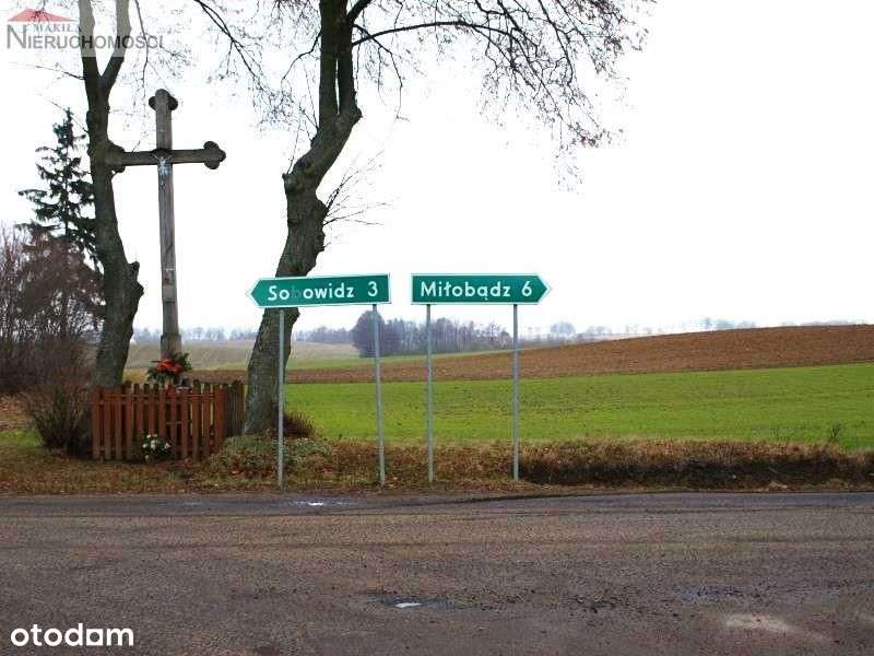 Działka - Świetlikowo-7