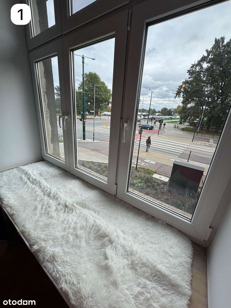 5 room Apartment in Center / 5-pokojowe mieszkanie w centrum - Pełny obrazek: 4/19